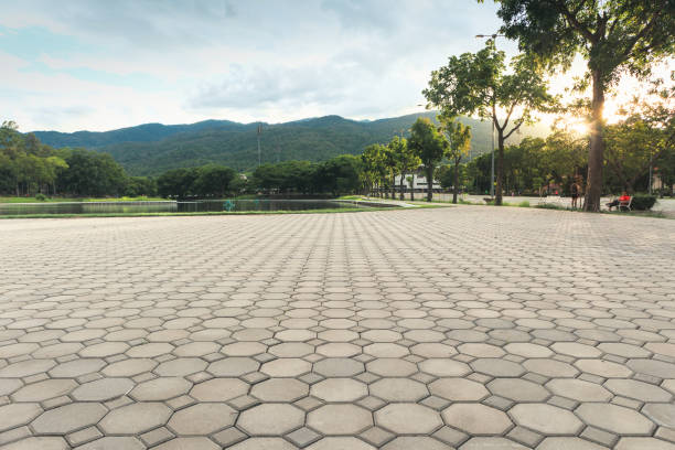 Best Best Driveway Pavers  in Portage, MI